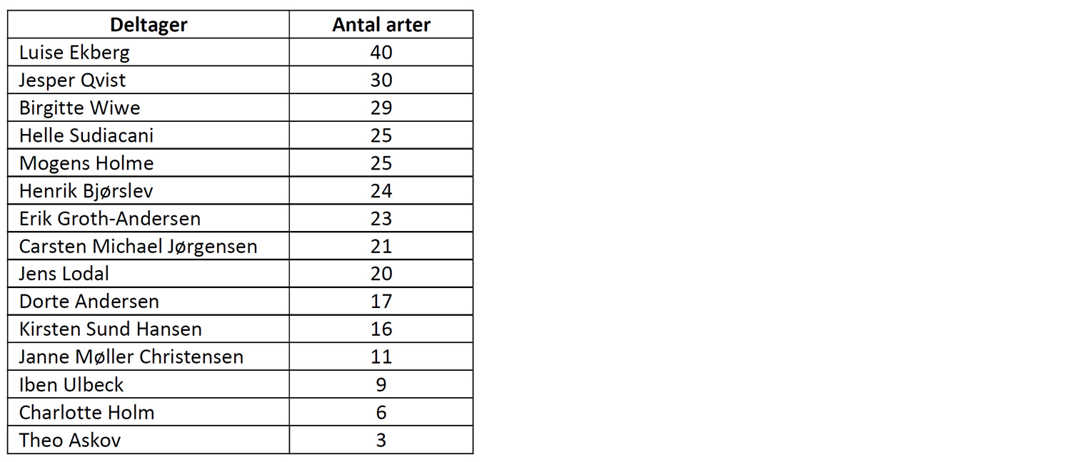 Boligbirding status 2020 jan JensLodal