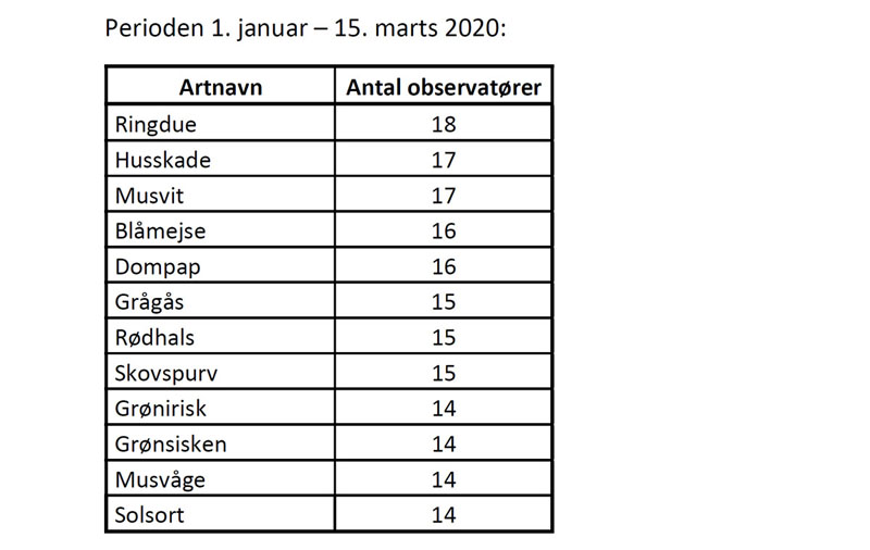 Boligbirding 2020 Arts Top 12 150320 800 JensLodal