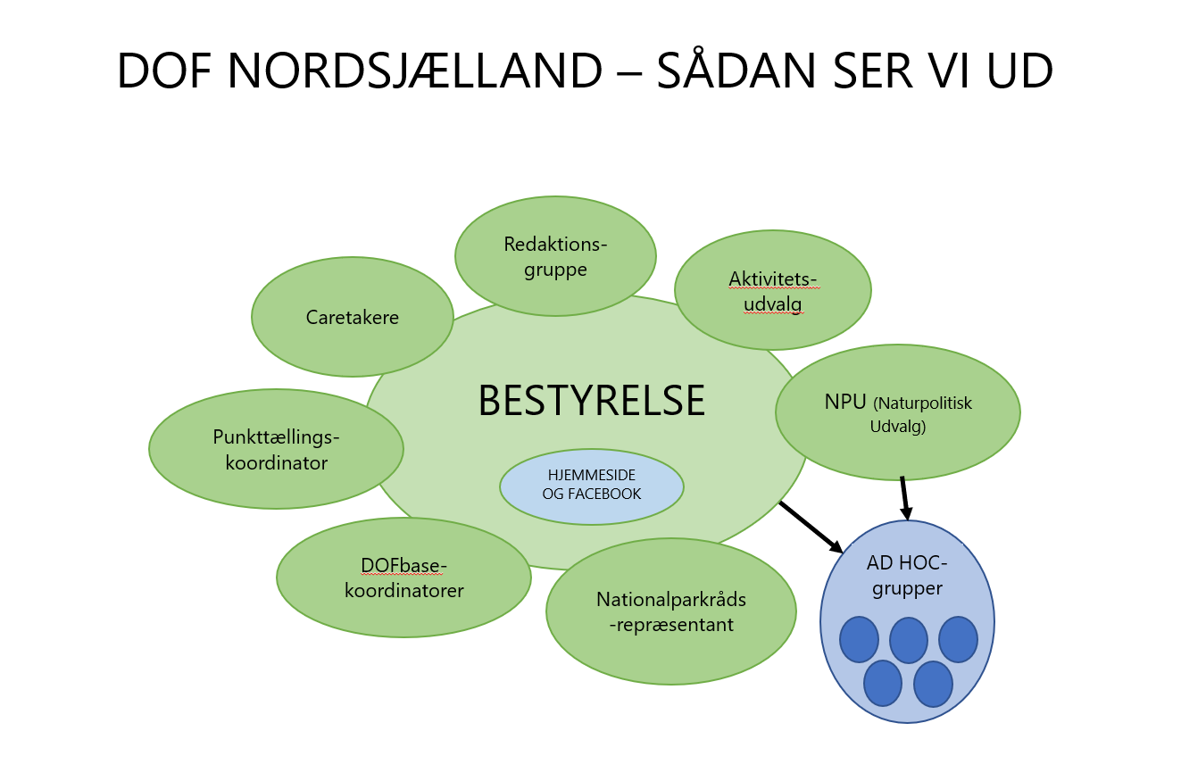 Organisation 2020 DOF Nordsjaelland