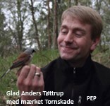 Roedrygget Tornskade Anders Tttrup foto PerEkberg 300510