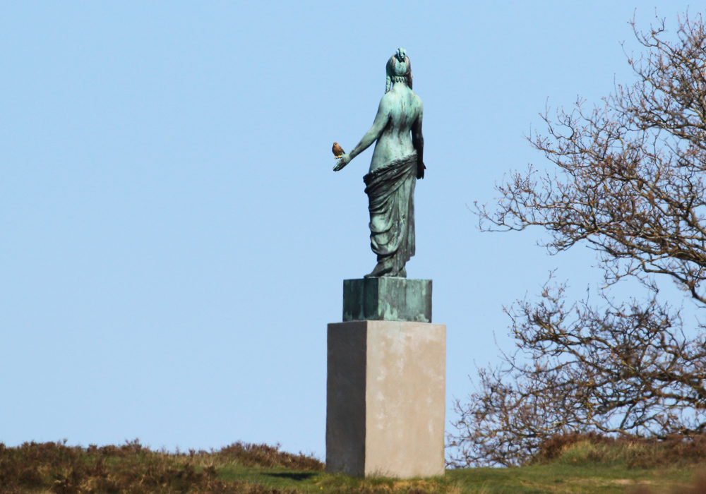 Tarnfalk pa Tegnerstatue PerEkberg