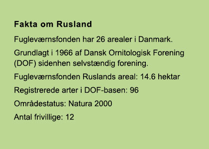 Faktaboks rusland